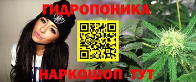 прущие крисы Новокубанск