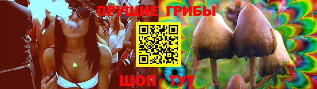 Псилоцибиновые грибы GOLDEN TEACHER Соликамск
